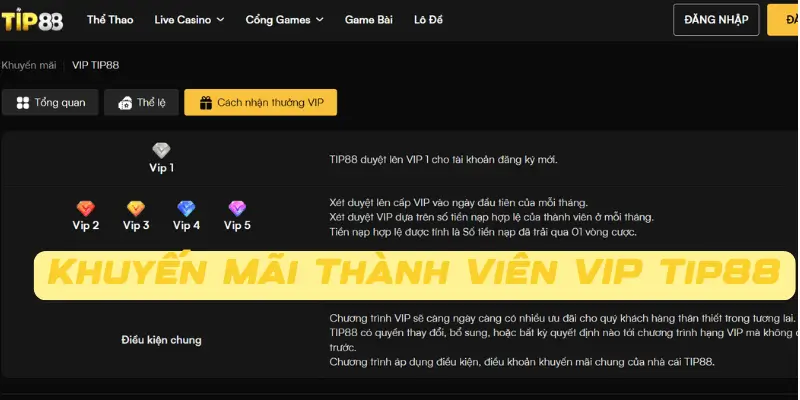 Các Chương Trình Khuyến Mãi Dành Riêng Cho Thành Viên VIP Tip88