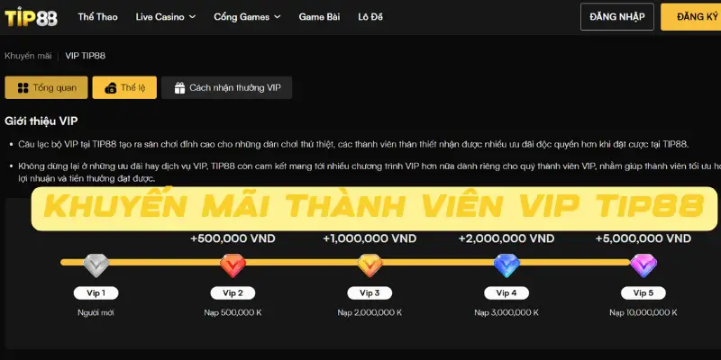 Những Lưu Ý Quan Trọng Khi Tham Gia Chương Trình VIP Tip88: Điều Cần Biết