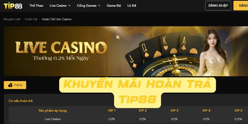 Những lưu ý quan trọng khi tham gia khuyến mãi hoàn trả Tip88