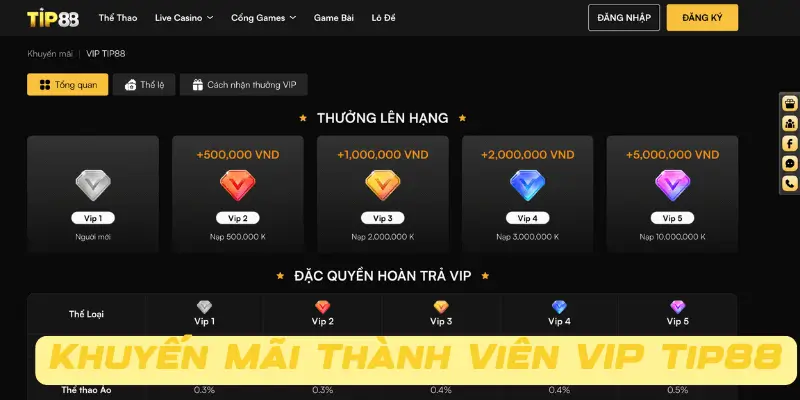 Tại Sao Bạn Nên Trở Thành Thành Viên VIP Tip88? Cơ Hội Hấp Dẫn Không Thể Bỏ Lỡ